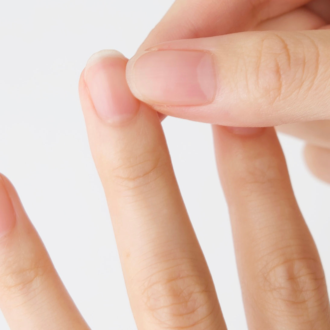 Hand & Nail Cream