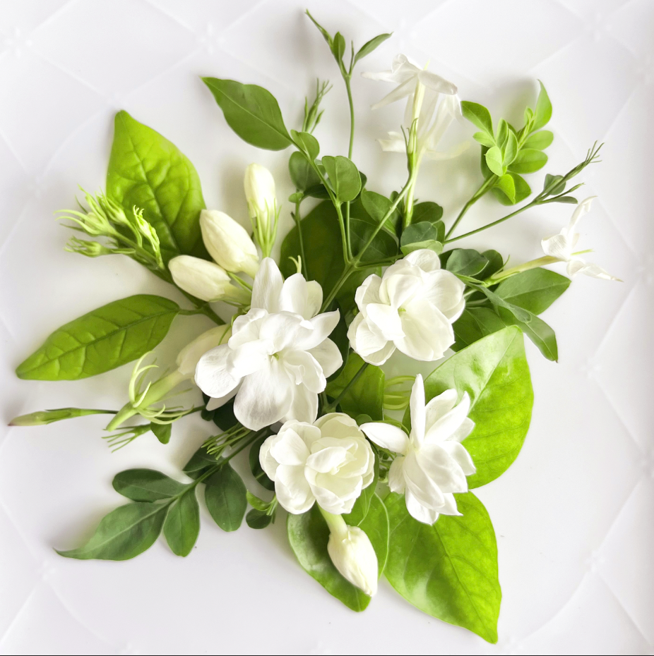 No.5 Jasmine Jasmine  オーデパルファム　8ml