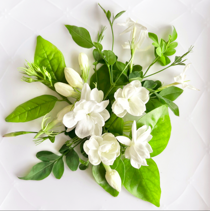 No.5 Jasmine Jasmine  オーデパルファム　8ml